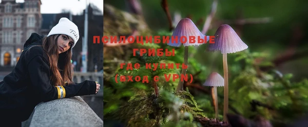 дурь Кукмор