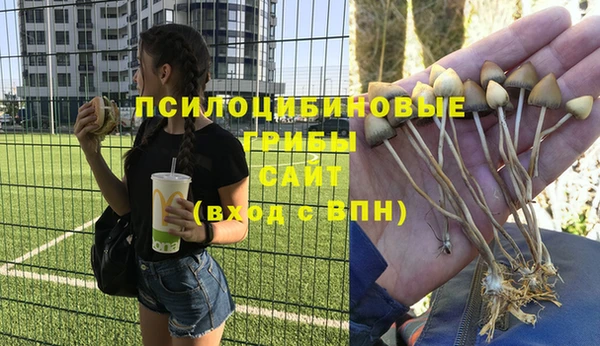 дурь Кукмор